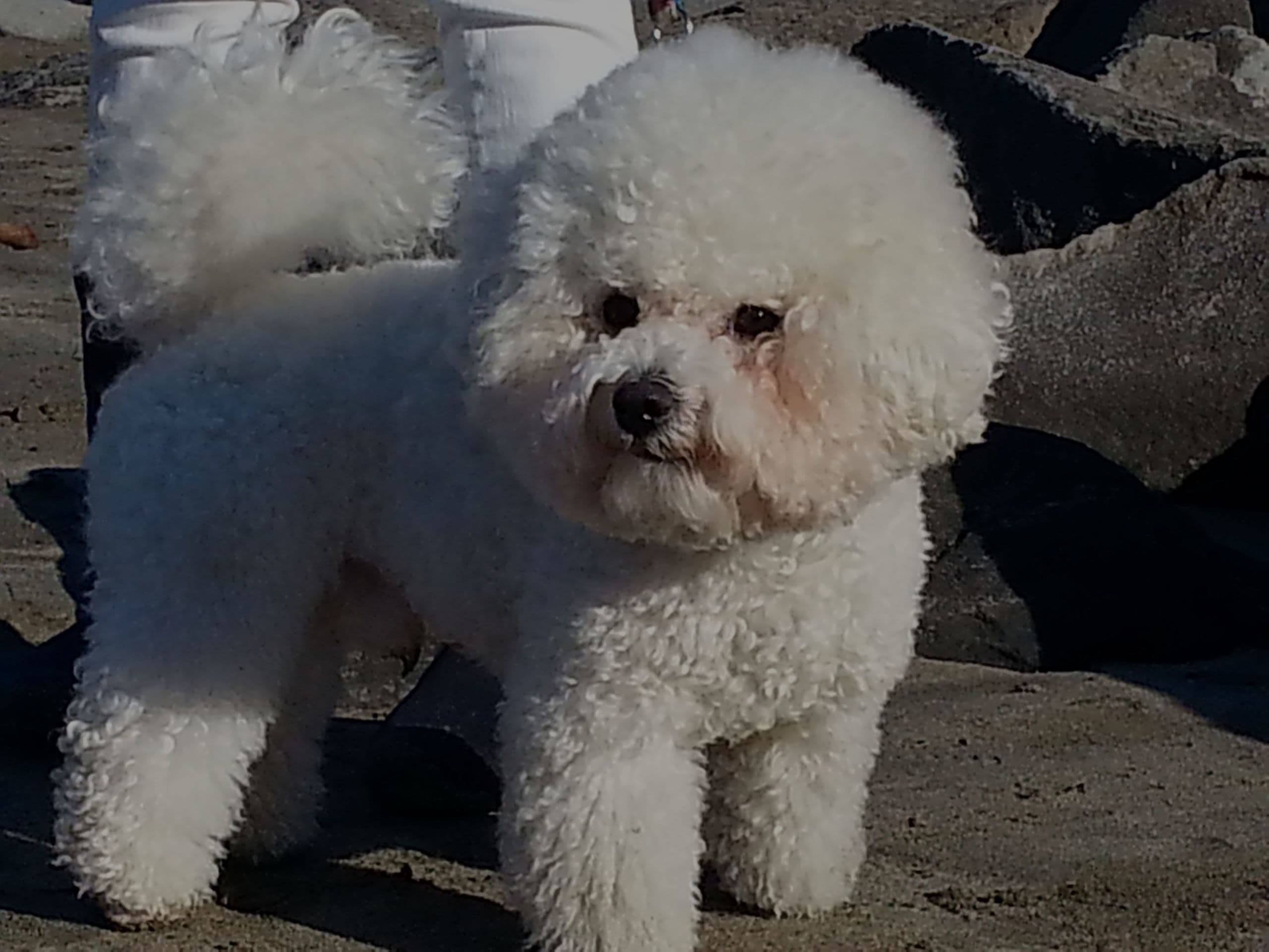 20150112_142644.jpg